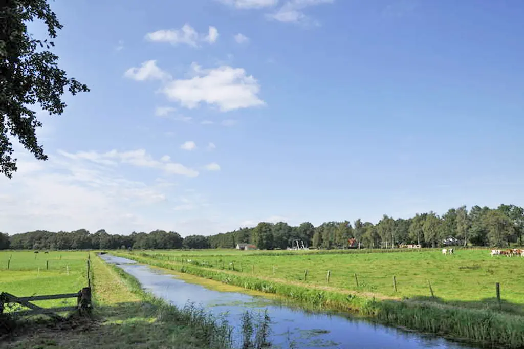 Weiland met een rechte sloot, houten en draadhekken, koeien in het gras en een boerderij met bomen aan de horizon onder een blauwe lucht.