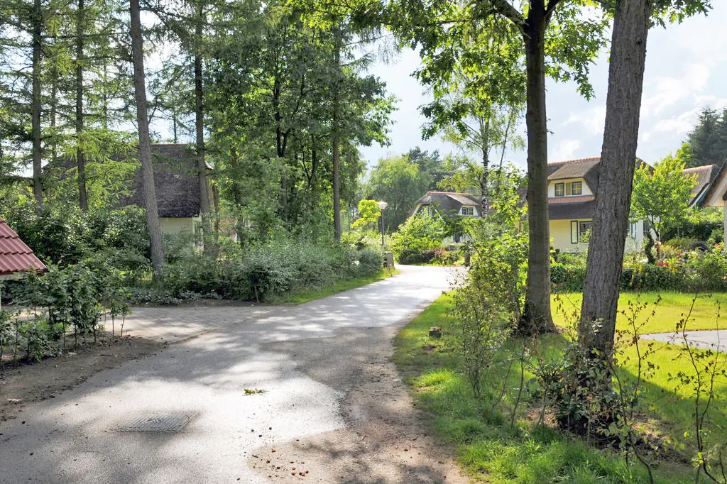 Verharde weg door een vakantiepark, met dennen en loofbomen, gras en meerdere huizen met rieten daken en bloeiende borders.